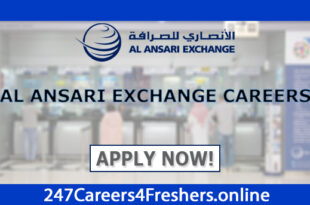 Al Ansari Exchange Careers