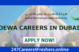 Dewa Careers