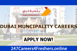 Dubai Municipality Careers